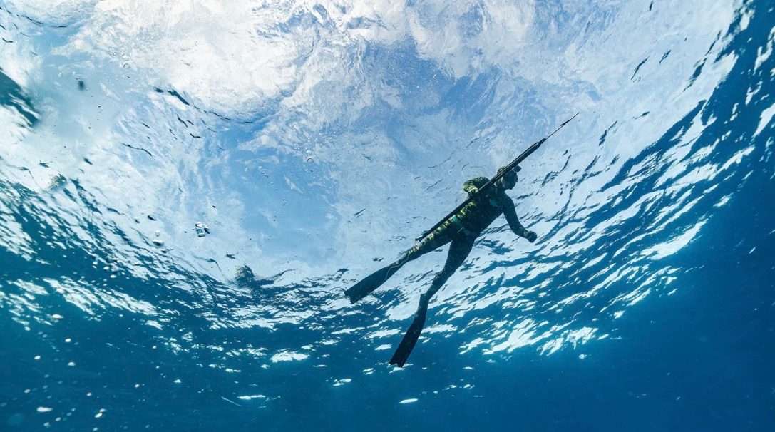 Spearfishing Expedition
